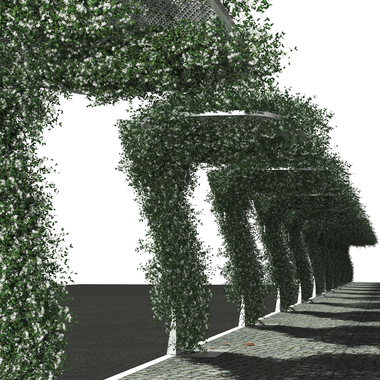 Canopy Way - Vertical greening as solution fot the urban heat island effect